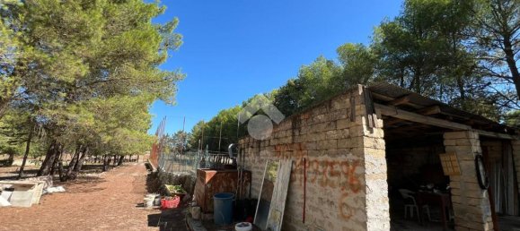Terreno de 1 habitación en Altamura, Italy No. 361611 4