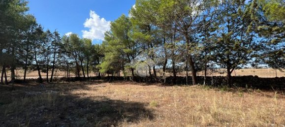 Terreno de 1 habitación en Altamura, Italy No. 361611 3