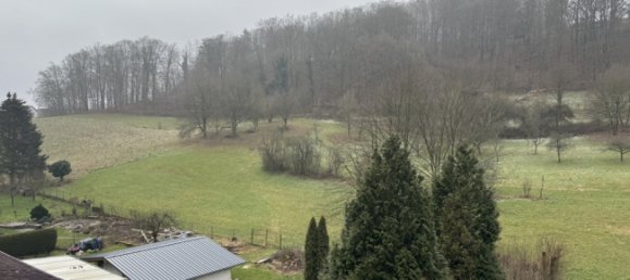 2 bedrooms Apartment in Rhineland-Palatinate, Germany No. 138121 18