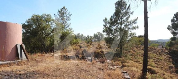 8350m² Land in Loule, Portugal No. 81272 5