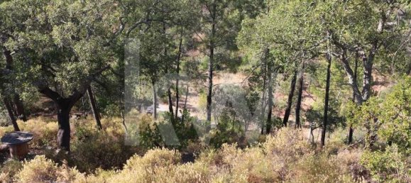 8350m² Land in Loule, Portugal No. 81272 8