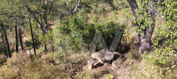 8350m² Land in Loule, Portugal No. 81272 9