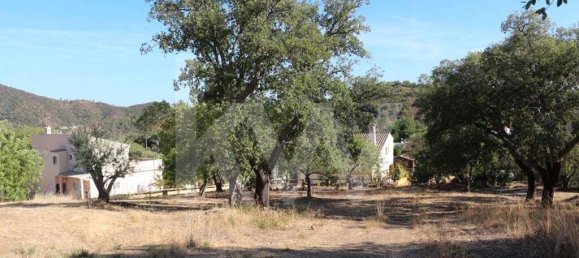 8350m² Land in Loule, Portugal No. 81272 12