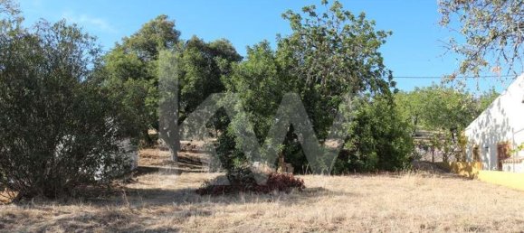 8350m² Land in Loule, Portugal No. 81272 14