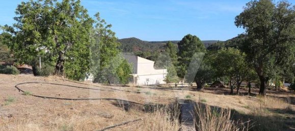 8350m² Land in Loule, Portugal No. 81272 4