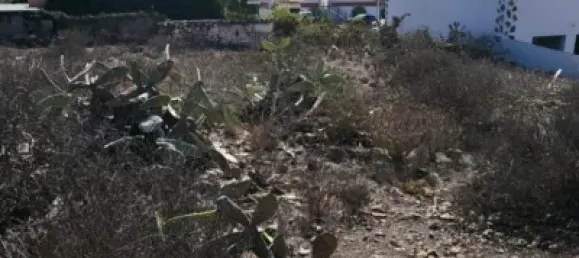 Terrain à Adeje, Spain No. 101213 6