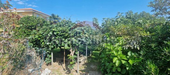 3 غرف نوم شقة في Pella, Italy رقم 310411 37