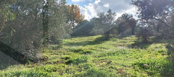 2غرفة منزل في Castellana Grotte, Italy رقم 21060 10