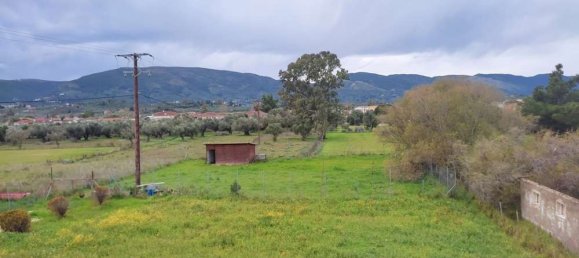 3 غرف نوم عقار تجاري في Zakynthos, Greece رقم 8823 8