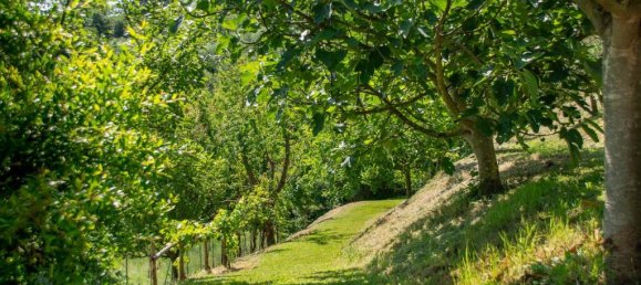 Дом с 3 спальнями в Кьюси, Италия № 56102 44