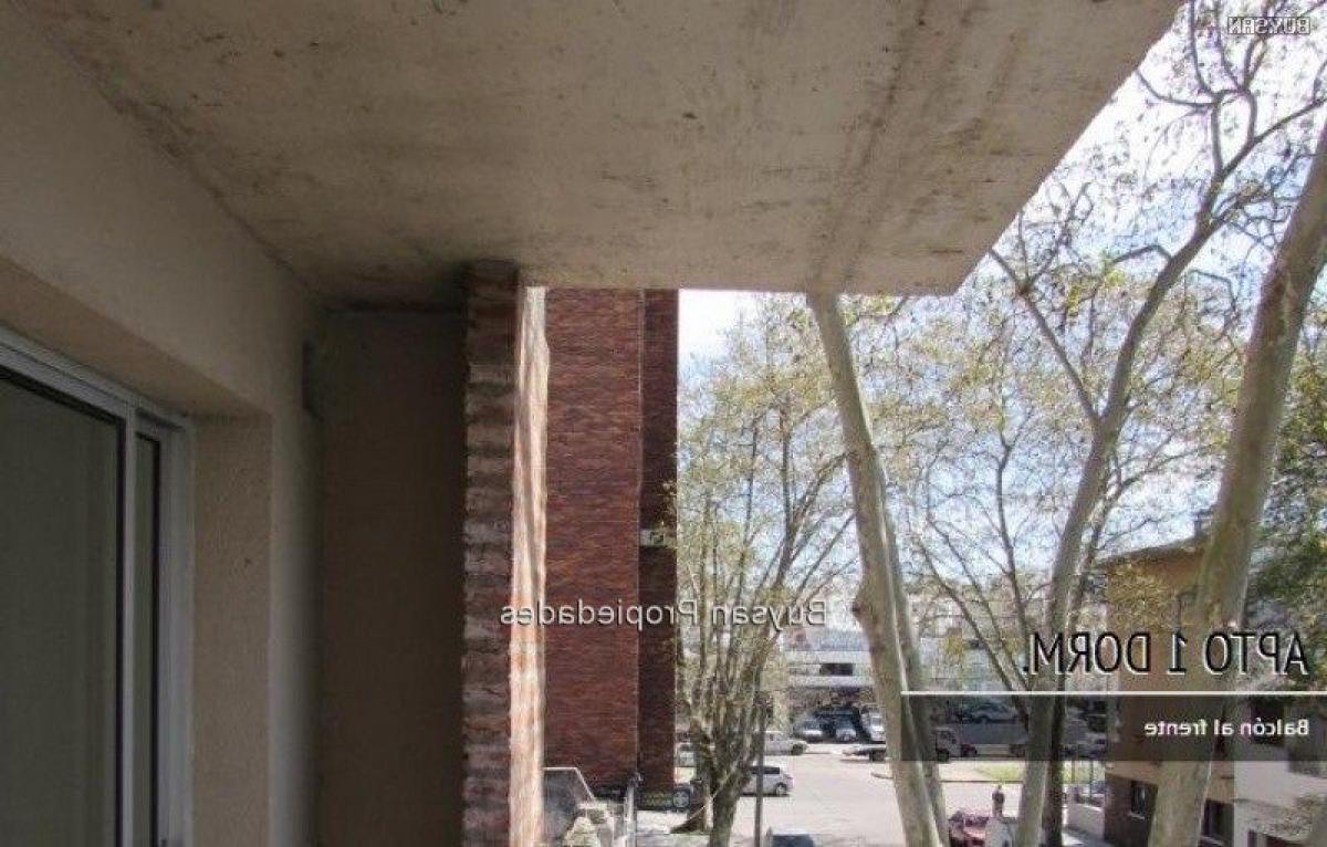 Estudio en Montevideo, Uruguay No. 11732