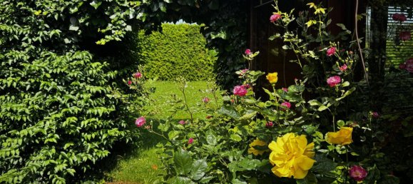 Bungalow de 3 dormitorios en Ternitz, Austria No. 175645 2