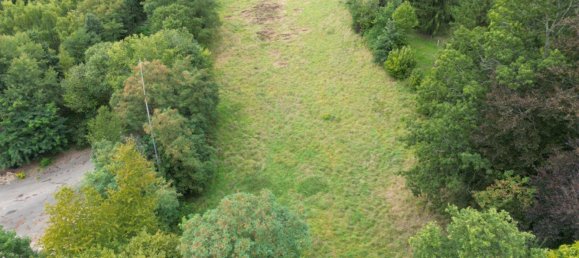 Земельный участок в Пирмазенс, Германия № 360259 4