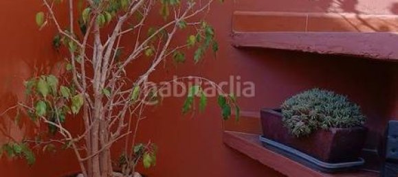 2 bedrooms Villa in Torrevieja, Spain No. 175994 42