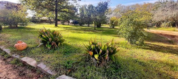 10 rooms House in Terranuova Bracciolini, Italy No. 144142 13