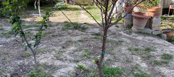 2 bedrooms Commercial property in Rethymno, Greece No. 3126 12