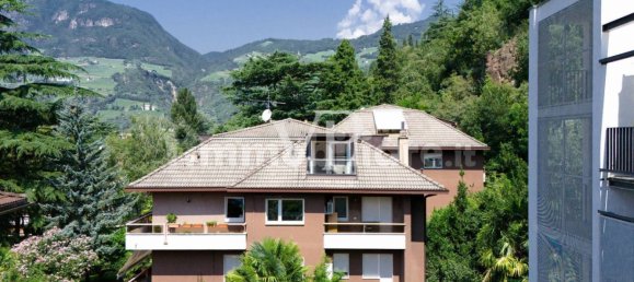 3 chambres Penthouse à Trentino-Alto Adige, Italy No. 44582 3