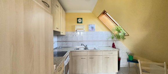 Дом с 8 комнатами в Markisch-Oderland, Германия № 313104 16