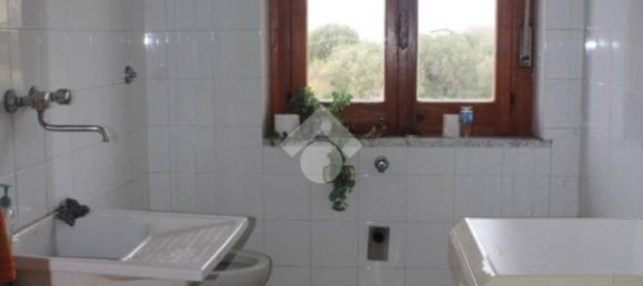5 rooms Building in Santa Maria del Cedro, Italy No. 83682 28