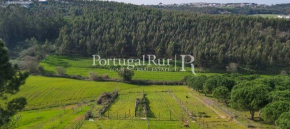 4 غرف نوم قطعة أرض في Salir de Matos, Portugal رقم 140868 9