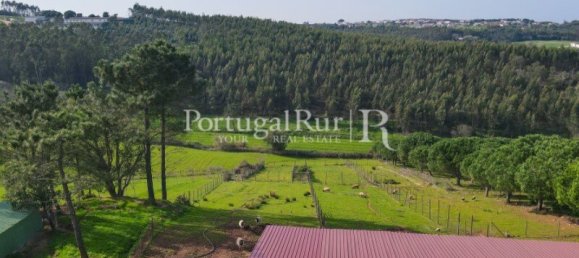 4 غرف نوم قطعة أرض في Salir de Matos, Portugal رقم 140868 8