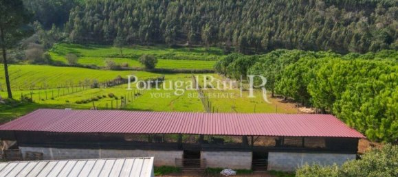 4 غرف نوم قطعة أرض في Salir de Matos, Portugal رقم 140868 15