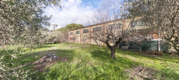 Lagerhaus in Manoppello, Italy 1400m², Nr. 220290 18