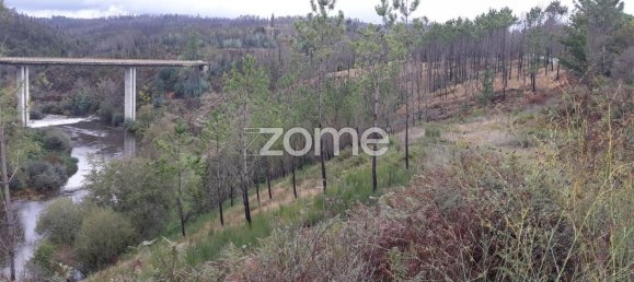 Grundstück in Arganil, Portugal 4850m², Nr. 65769 6