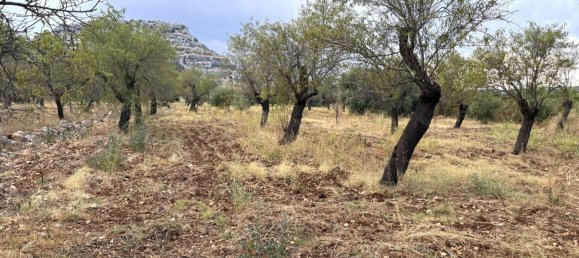 5 chambres Villa à Floridia, Italy No. 352608 18