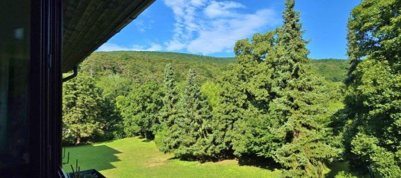 Apartamento de 3 divisões em Baden, Austria N.º 218870 9