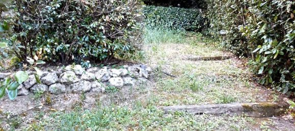 2 bedrooms Apartment in Castelnuovo Berardenga, Italy No. 328791 2