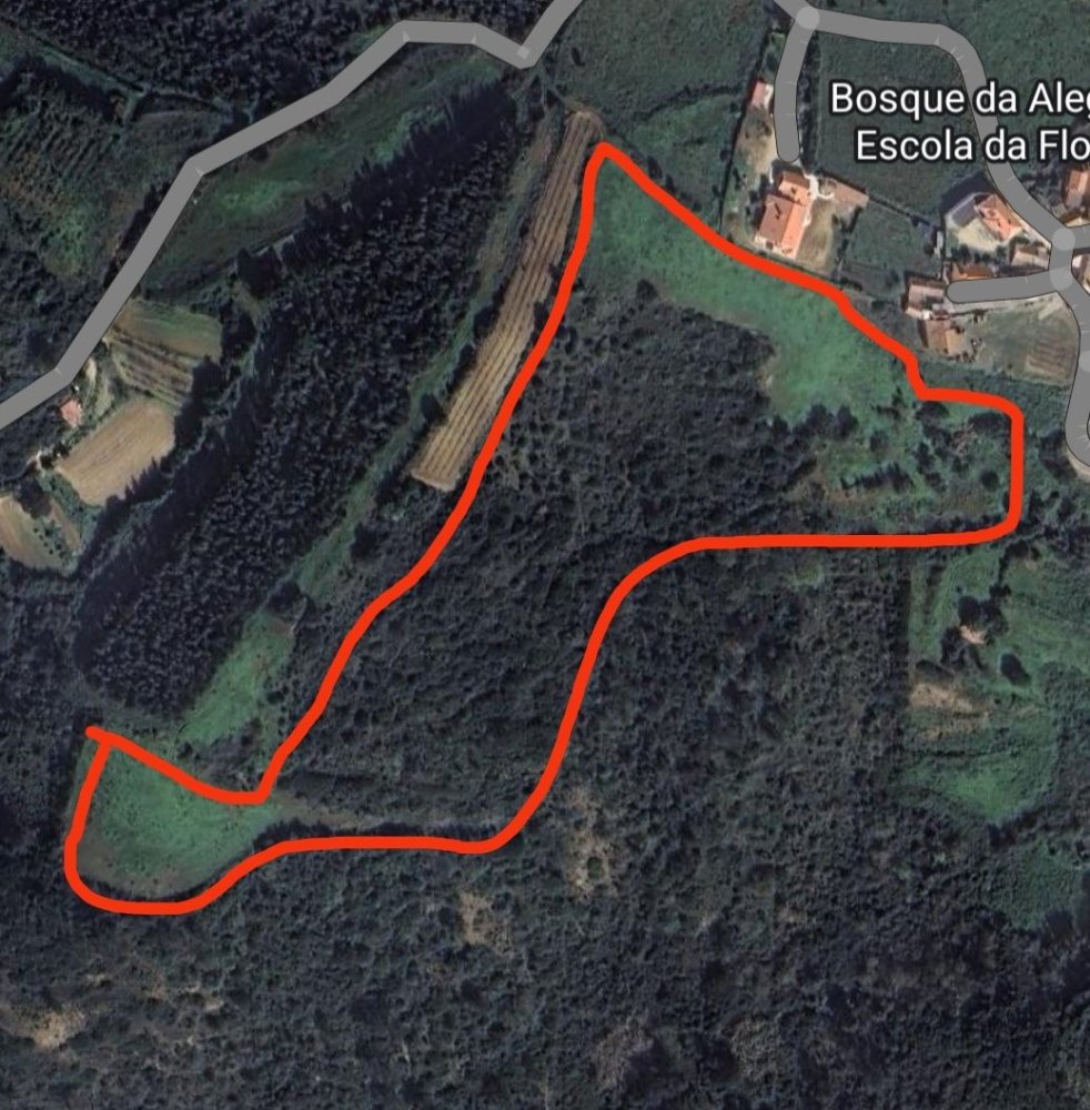  Land in Mafra, Portugal No. 282819