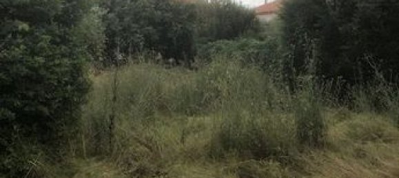 4 Schlafzimmer Haus in Nimes, France, Nr. 279185 2