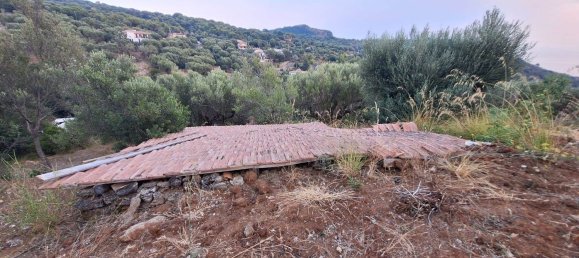 Land in Camerota, Italy No. 317247 21