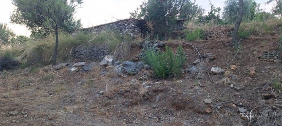 Land in Camerota, Italy No. 317247 10
