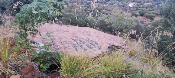 Land in Camerota, Italy No. 317247 20