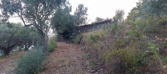 Land in Camerota, Italy No. 317247 14