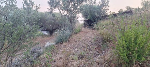 Land in Camerota, Italy No. 317247 6