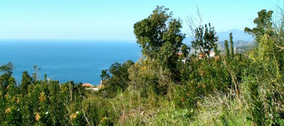 Land in Camerota, Italy No. 317247 3
