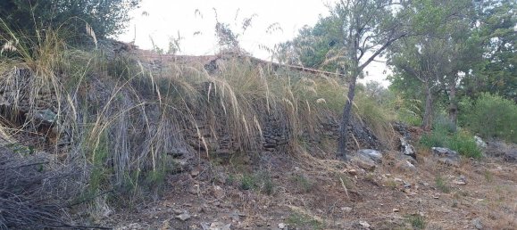 Land in Camerota, Italy No. 317247 23