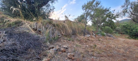 Land in Camerota, Italy No. 317247 9