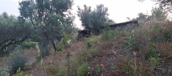 Land in Camerota, Italy No. 317247 4