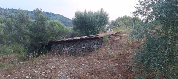 Land in Camerota, Italy No. 317247 22