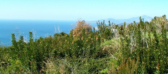 Land in Camerota, Italy No. 317247 2