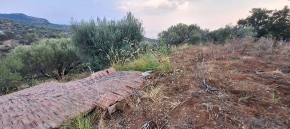 Land in Camerota, Italy No. 317247 18
