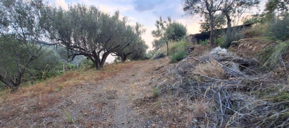 Land in Camerota, Italy No. 317247 12