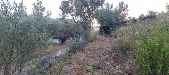 Land in Camerota, Italy No. 317247 5