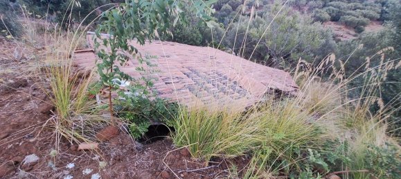 Land in Camerota, Italy No. 317247 19