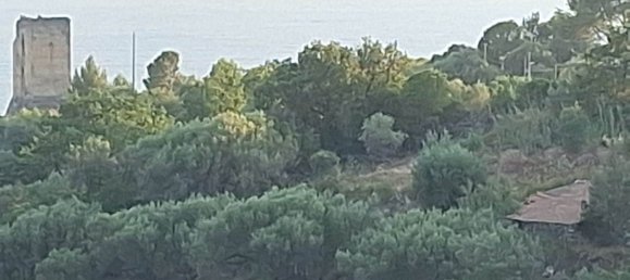 Land in Camerota, Italy No. 317247 25