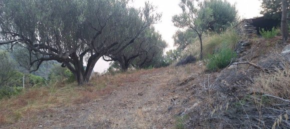 Land in Camerota, Italy No. 317247 13